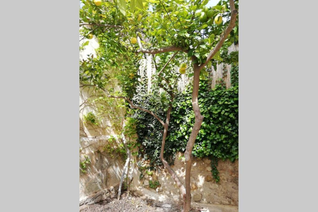 Villa Cas Potecari Porreres Esterno foto